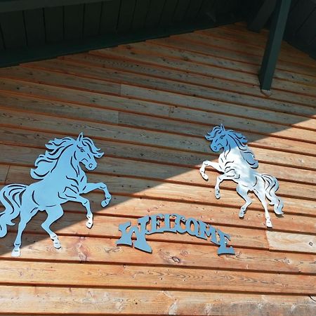 Wild Life Ranch Villa Schöfweg Dış mekan fotoğraf