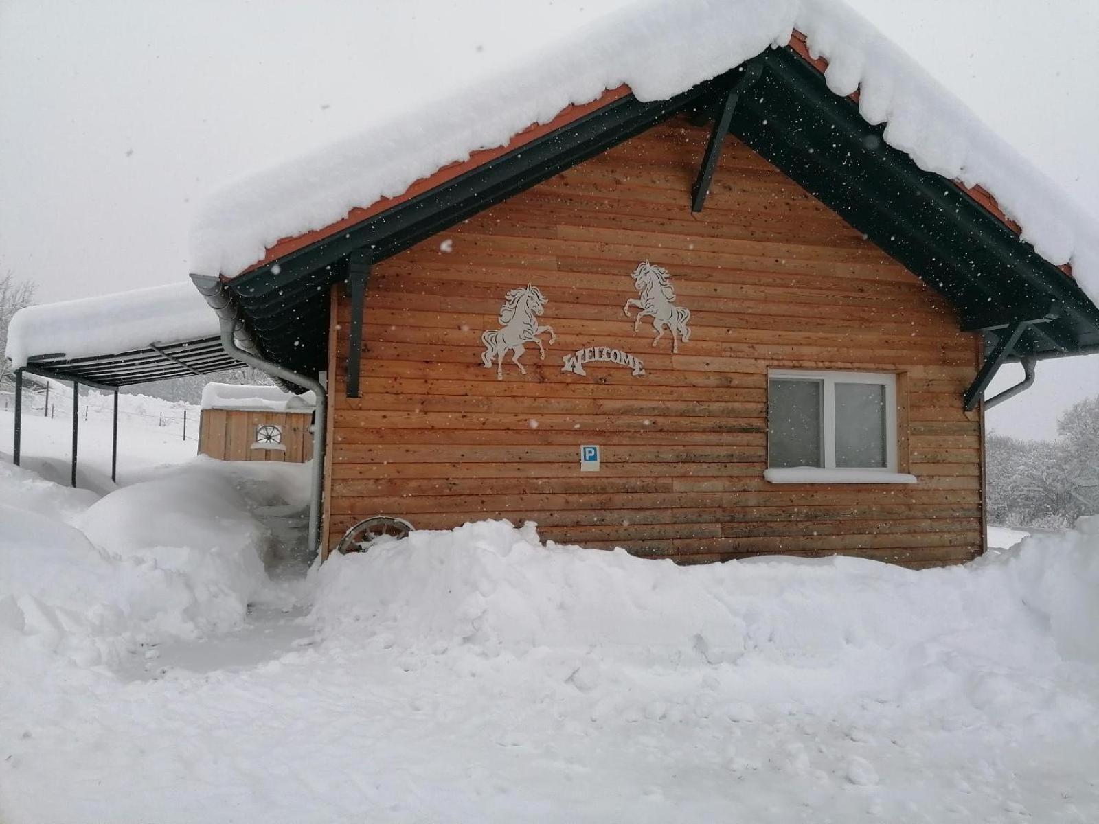 Wild Life Ranch Villa Schöfweg Dış mekan fotoğraf
